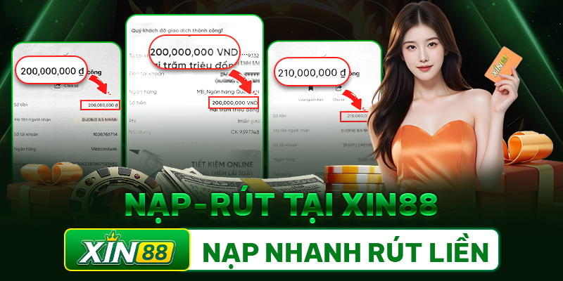 66VN – Dịch vụ Công nghệ, Phát triển Phần mềm, Quản lý Doanh nghiệp