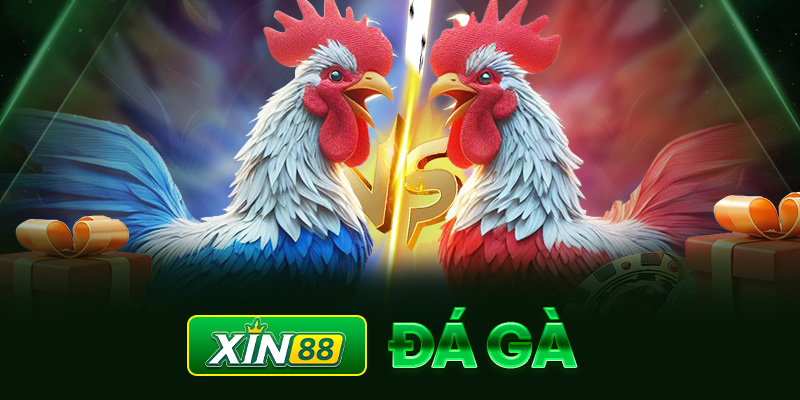 Cách Chọn Kèo Nhà Cái 1 Hiệu Quả và Tài Xỉu tại Các Nhà Cái Uy Tín